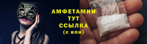 хмурый Алзамай