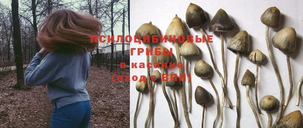 mix Алексин